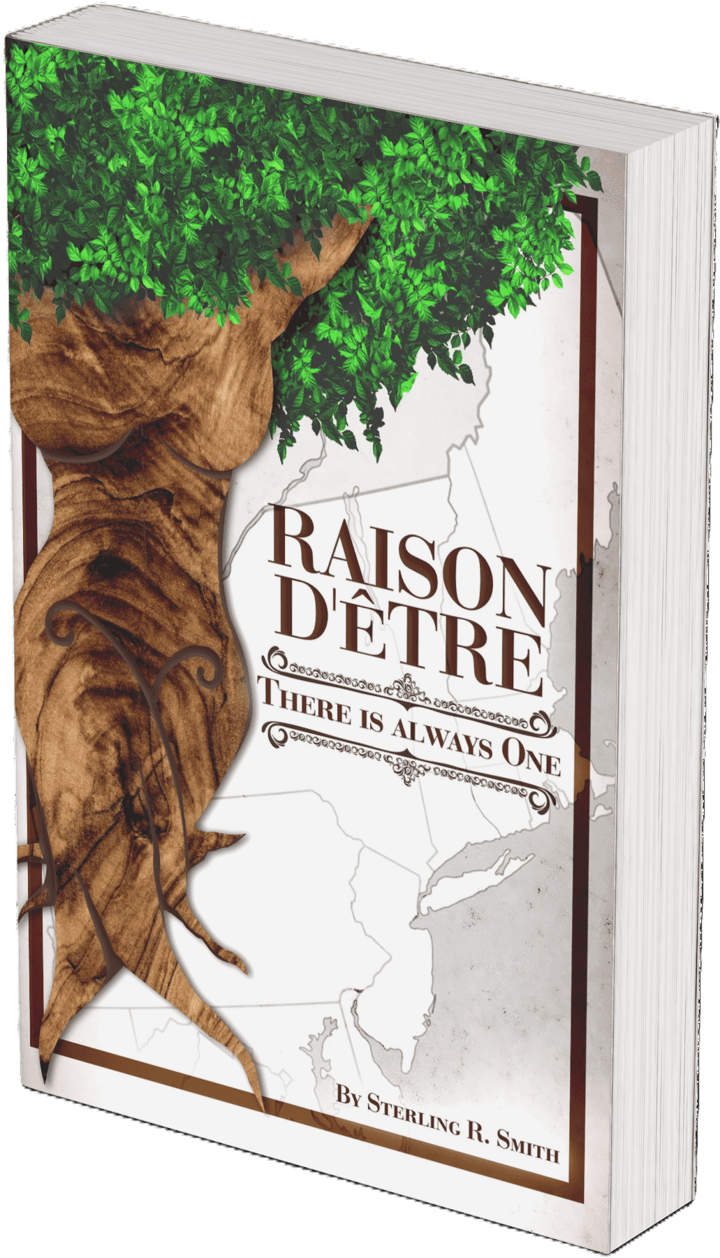 Raison D'etre book cover