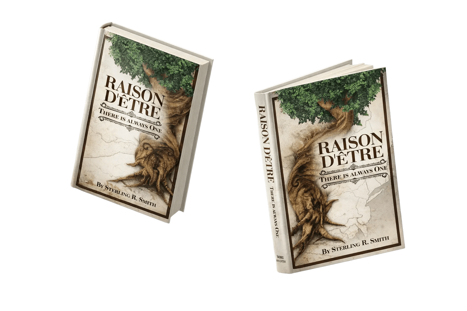 Raison D'etre hardcover